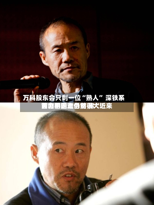 万科股东会只剩一位“熟人” 深铁系黄力平走上台前 称“近来面临的困难仍然很大”-第3张图片