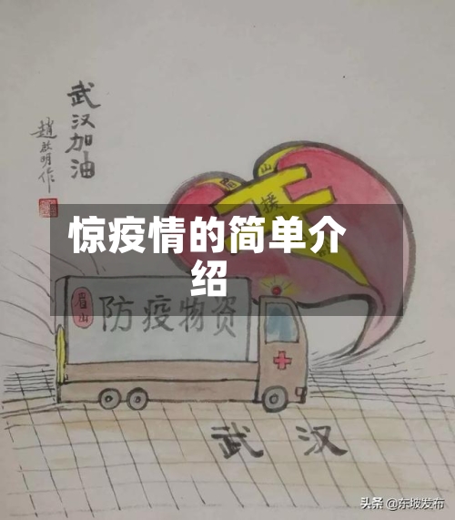 惊疫情的简单介绍