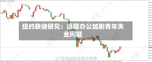 纽约联储研究:远程办公加剧青年失业问题-第2张图片