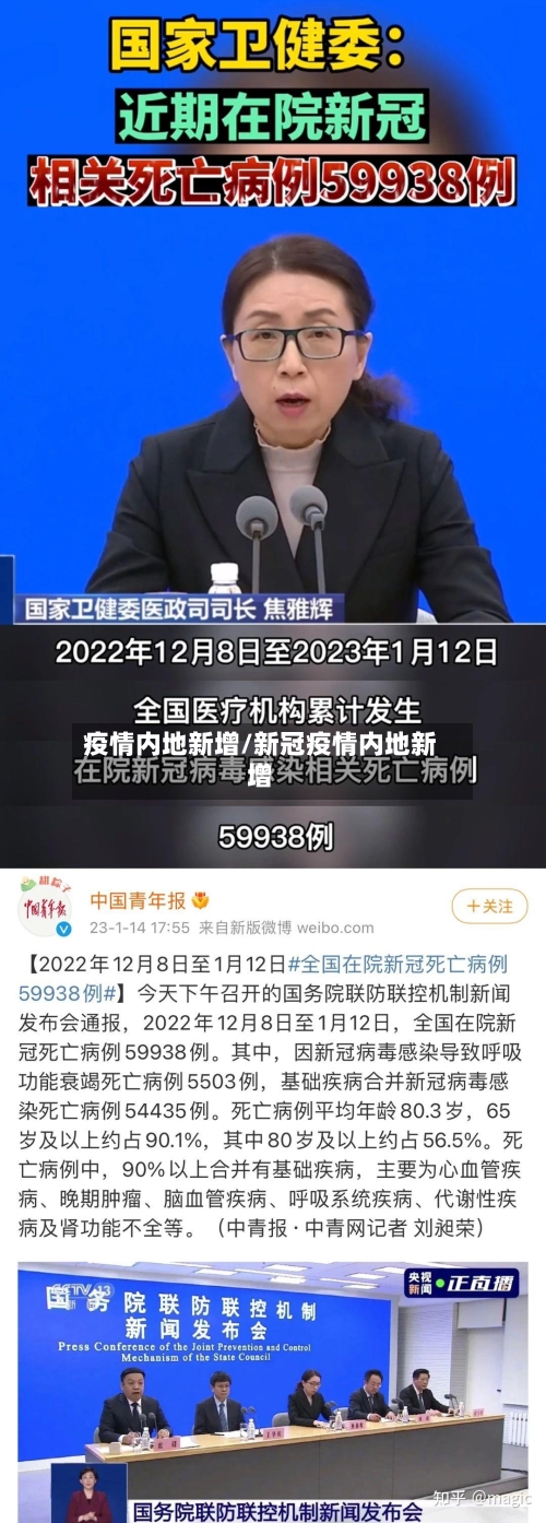 疫情内地新增/新冠疫情内地新增