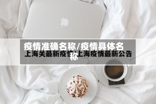 疫情准确名称/疫情具体名称-第2张图片