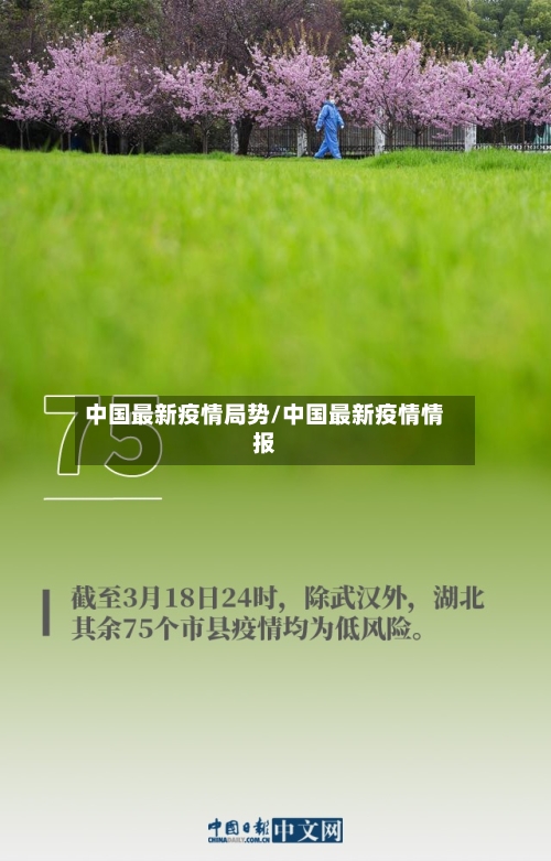 中国最新疫情局势/中国最新疫情情报
