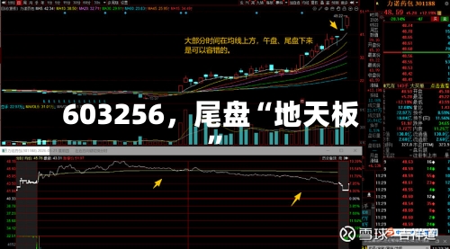 603256,尾盘“地天板”