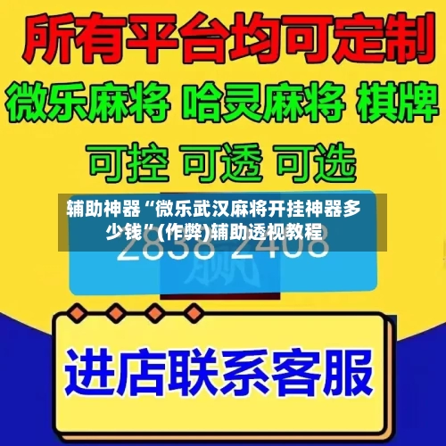 辅助神器“微乐武汉麻将开挂神器多少钱”(作弊)辅助透视教程-第2张图片