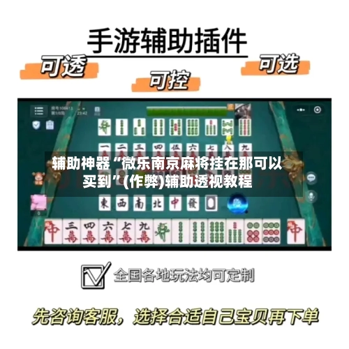 辅助神器“微乐南京麻将挂在那可以买到	”(作弊)辅助透视教程-第2张图片