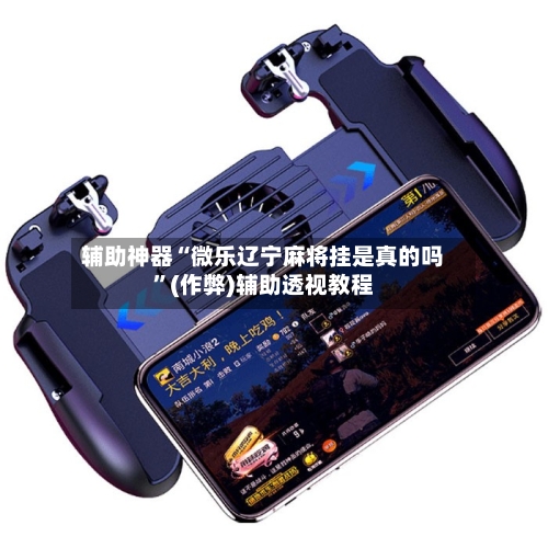辅助神器“微乐辽宁麻将挂是真的吗”(作弊)辅助透视教程