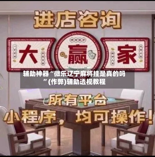 辅助神器“微乐辽宁麻将挂是真的吗”(作弊)辅助透视教程-第3张图片