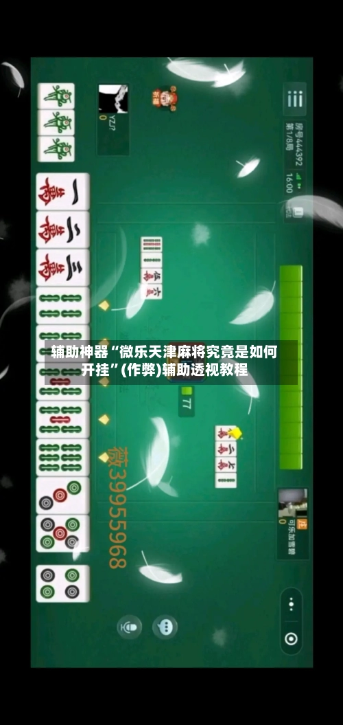 辅助神器“微乐天津麻将究竟是如何开挂”(作弊)辅助透视教程-第2张图片