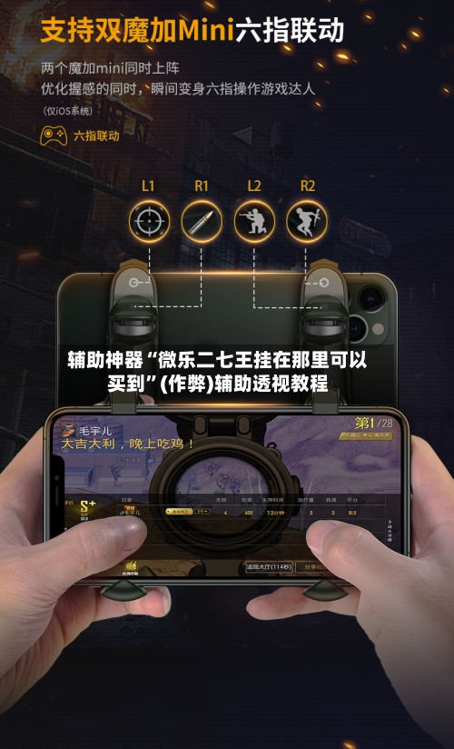辅助神器“微乐二七王挂在那里可以买到	”(作弊)辅助透视教程-第2张图片