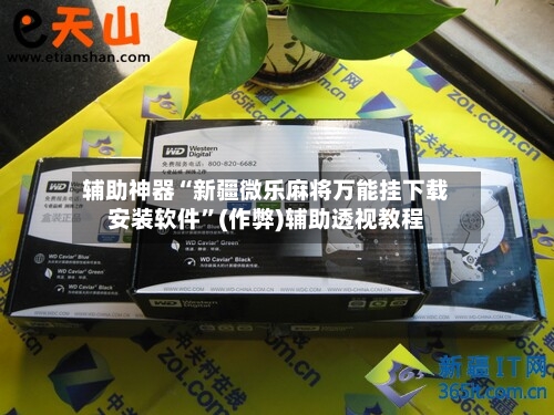 辅助神器“新疆微乐麻将万能挂下载安装软件”(作弊)辅助透视教程-第3张图片