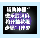 辅助神器“微乐武汉麻将开挂教程步骤”(作弊)辅助透视教程-第3张图片