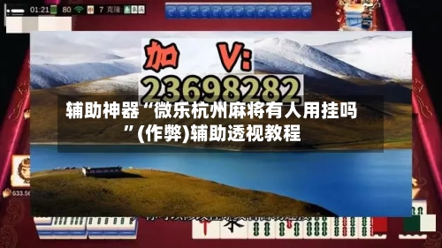 辅助神器“微乐杭州麻将有人用挂吗”(作弊)辅助透视教程-第3张图片