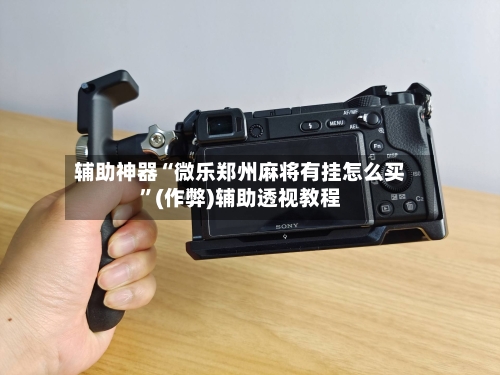 辅助神器“微乐郑州麻将有挂怎么买”(作弊)辅助透视教程-第2张图片