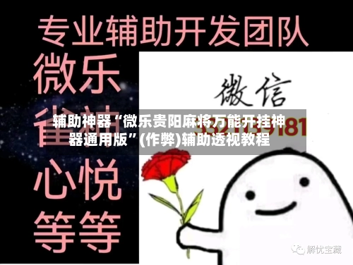 辅助神器“微乐贵阳麻将万能开挂神器通用版	”(作弊)辅助透视教程-第2张图片