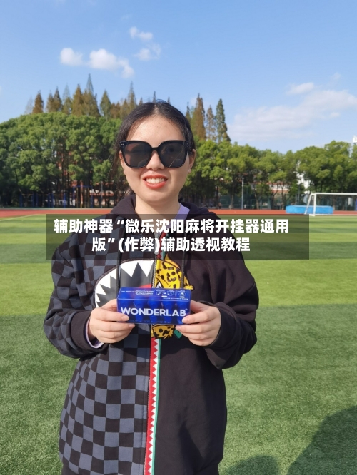 辅助神器“微乐沈阳麻将开挂器通用版”(作弊)辅助透视教程-第3张图片