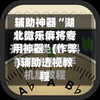 辅助神器“湖北微乐麻将专用神器”(作弊)辅助透视教程-第2张图片