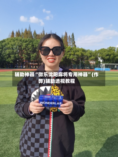 辅助神器“微乐沈阳麻将专用神器	”(作弊)辅助透视教程-第3张图片