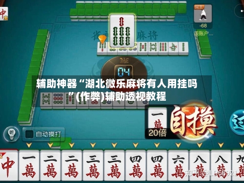 辅助神器“湖北微乐麻将有人用挂吗”(作弊)辅助透视教程-第2张图片