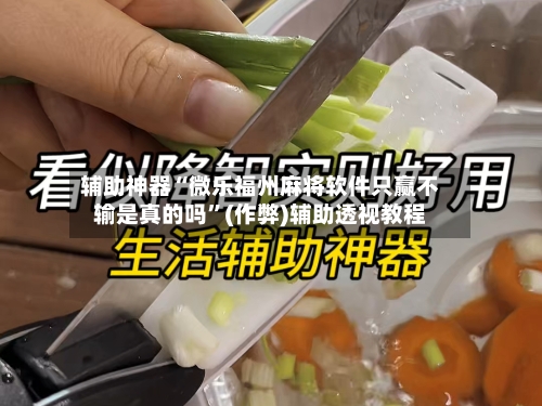 辅助神器“微乐福州麻将软件只赢不输是真的吗	”(作弊)辅助透视教程-第2张图片