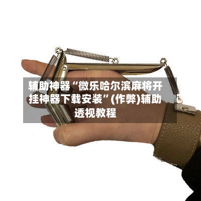 辅助神器“微乐哈尔滨麻将开挂神器下载安装”(作弊)辅助透视教程-第2张图片