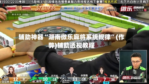 辅助神器“湖南微乐麻将系统规律”(作弊)辅助透视教程-第2张图片