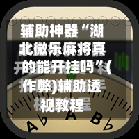 辅助神器“湖北微乐麻将真的能开挂吗	”(作弊)辅助透视教程-第3张图片