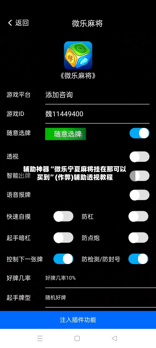 辅助神器“微乐宁夏麻将挂在那可以买到	”(作弊)辅助透视教程-第2张图片