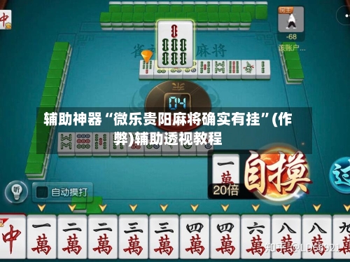 辅助神器“微乐贵阳麻将确实有挂”(作弊)辅助透视教程-第3张图片