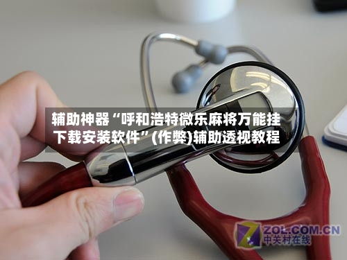辅助神器“呼和浩特微乐麻将万能挂下载安装软件	”(作弊)辅助透视教程-第3张图片