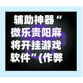 辅助神器“微乐贵阳麻将开挂游戏软件”(作弊)辅助透视教程-第2张图片
