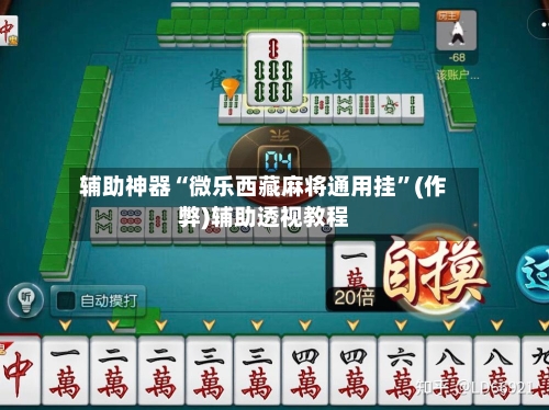 辅助神器“微乐西藏麻将通用挂”(作弊)辅助透视教程-第3张图片