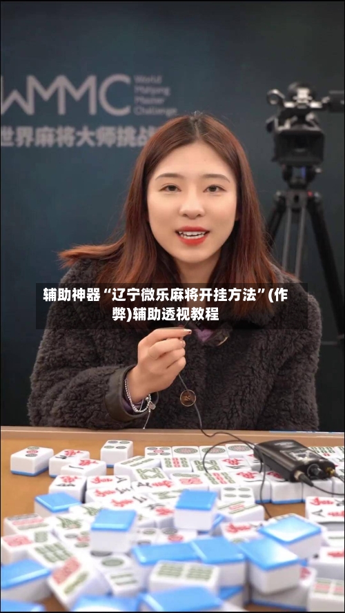 辅助神器“辽宁微乐麻将开挂方法”(作弊)辅助透视教程