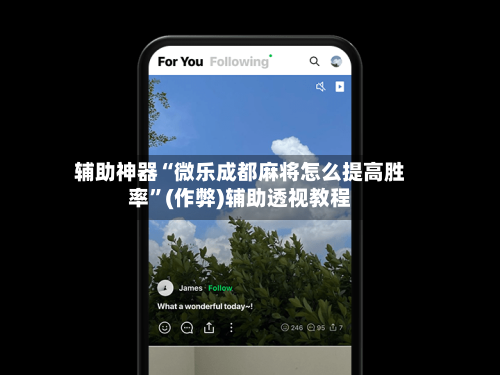 辅助神器“微乐成都麻将怎么提高胜率	”(作弊)辅助透视教程-第3张图片