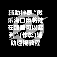 辅助神器“微乐海口麻将挂在那里可以买到”(作弊)辅助透视教程-第2张图片