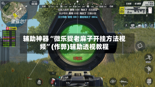 辅助神器“微乐捉老麻子开挂方法视频”(作弊)辅助透视教程