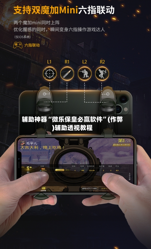 辅助神器“微乐保皇必赢软件”(作弊)辅助透视教程