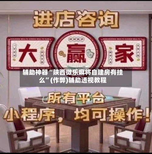 辅助神器“陕西微乐麻将自建房有挂么”(作弊)辅助透视教程