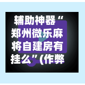 辅助神器“郑州微乐麻将自建房有挂么”(作弊)辅助透视教程-第3张图片