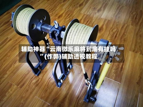 辅助神器“云南微乐麻将到底有挂吗”(作弊)辅助透视教程-第3张图片