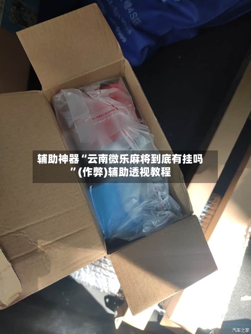 辅助神器“云南微乐麻将到底有挂吗”(作弊)辅助透视教程-第2张图片