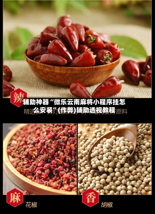 辅助神器“微乐云南麻将小程序挂怎么安装”(作弊)辅助透视教程