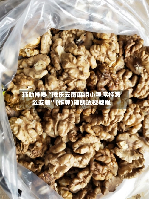 辅助神器“微乐云南麻将小程序挂怎么安装”(作弊)辅助透视教程-第2张图片