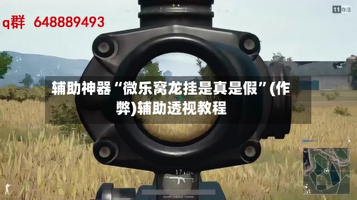 辅助神器“微乐窝龙挂是真是假”(作弊)辅助透视教程-第2张图片