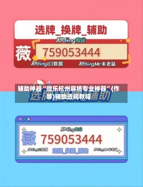 辅助神器“微乐杭州麻将专业神器”(作弊)辅助透视教程-第3张图片