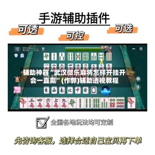 辅助神器“武汉微乐麻将怎样开挂开会一直赢”(作弊)辅助透视教程-第2张图片