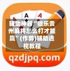 辅助神器“微乐贵州麻将怎么打才能赢”(作弊)辅助透视教程-第3张图片