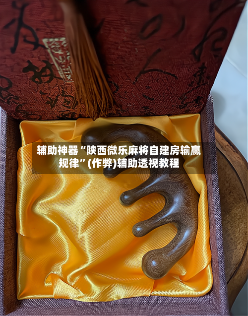 辅助神器“陕西微乐麻将自建房输赢规律”(作弊)辅助透视教程