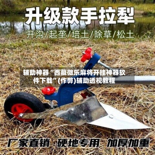 辅助神器“西藏微乐麻将开挂神器软件下载”(作弊)辅助透视教程