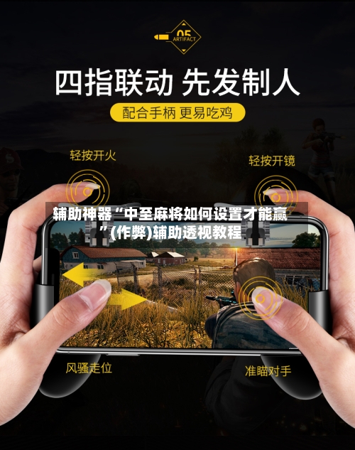 辅助神器“中至麻将如何设置才能赢”(作弊)辅助透视教程-第3张图片
