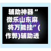 辅助神器“微乐山东麻将万能挂”(作弊)辅助透视教程-第2张图片